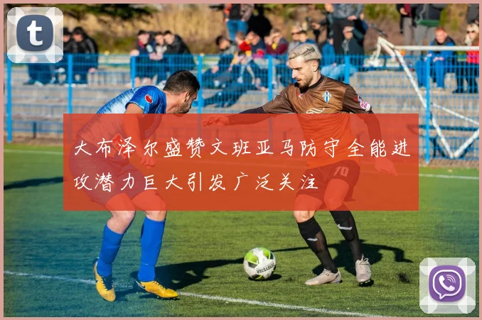 大布泽尔盛赞文班亚马防守全能进攻潜力巨大引发广泛关注